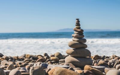 Blog post 2